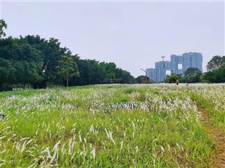 Nhanh tay sở hữu căn hộ 60m2 sky forest giá tốt nhất thị trường, mới nhận bàn giao nhà