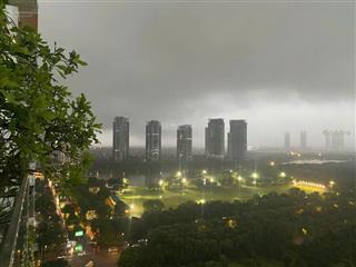 Bán nhanh siêu phẩm chcc 3pn 3wc thang máy riêng lên tận căn hộ dt 165m2 tòa park premium ecopark