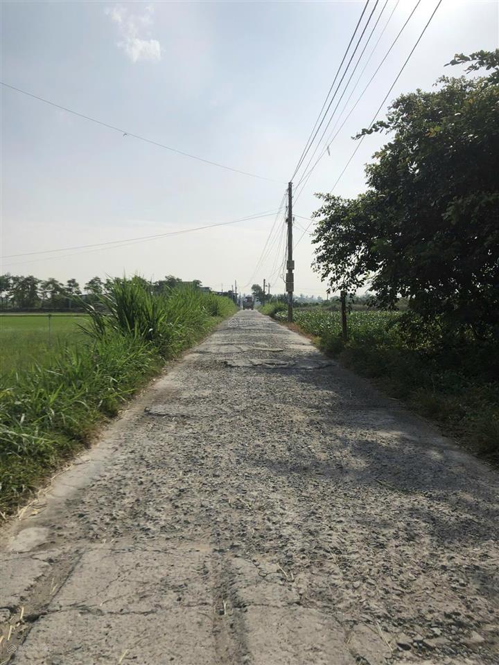 Bán đất tại tân thành, 800 triệu, 500m2, pháp lý đầy đủ
