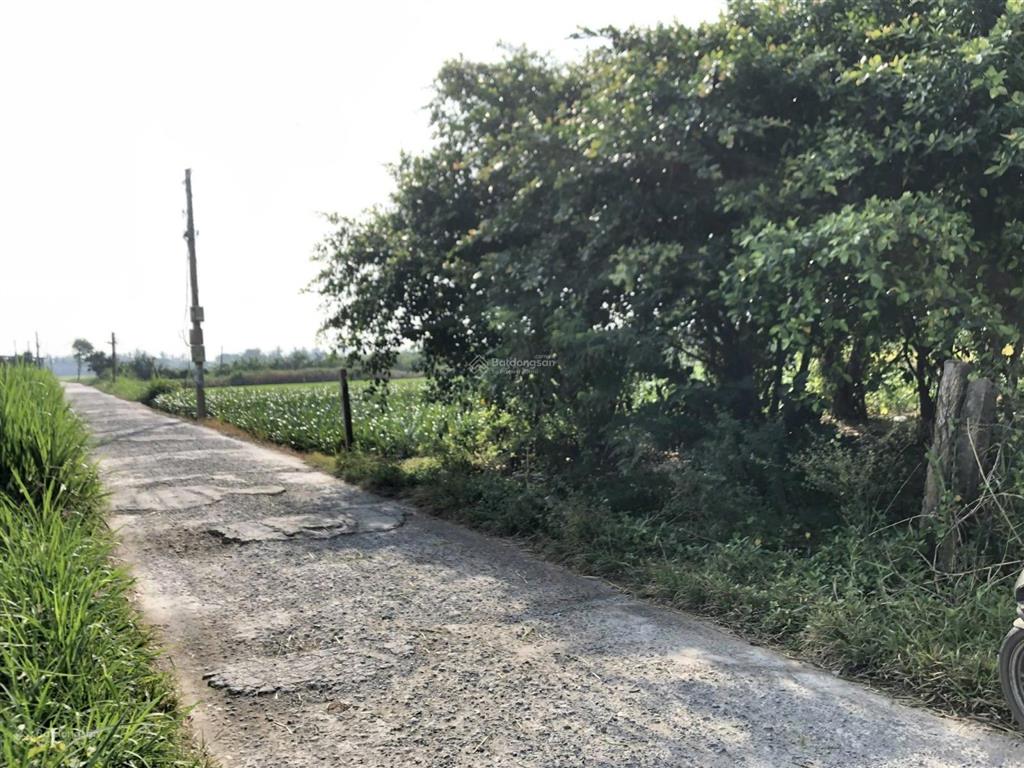Bán đất tại tân thành, 800 triệu, 500m2, pháp lý đầy đủ