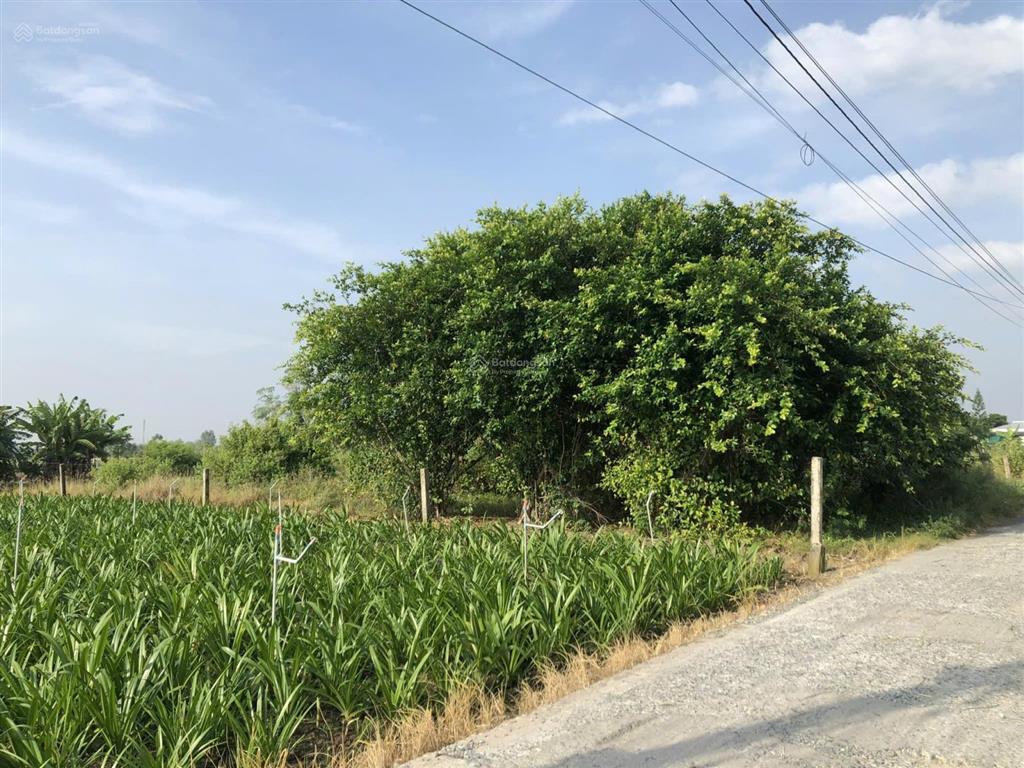 Bán đất tại tân thành, 800 triệu, 500m2, pháp lý đầy đủ