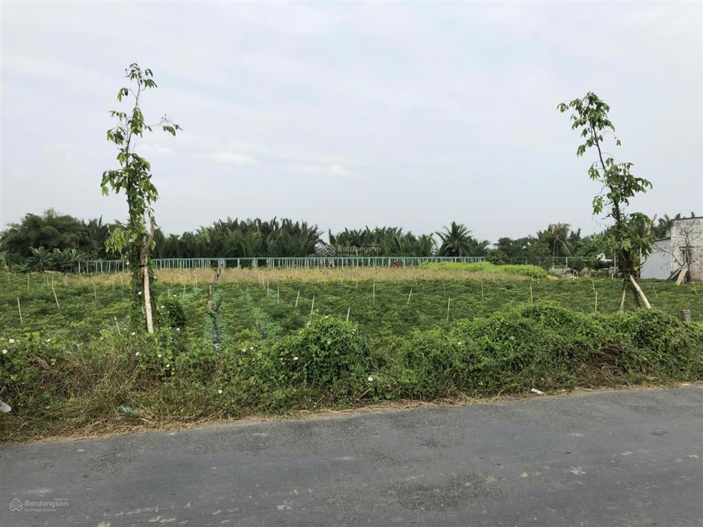 Bán đất tại xã tân thành, gò công đông, 1,2 tỷ, 468,5 m2