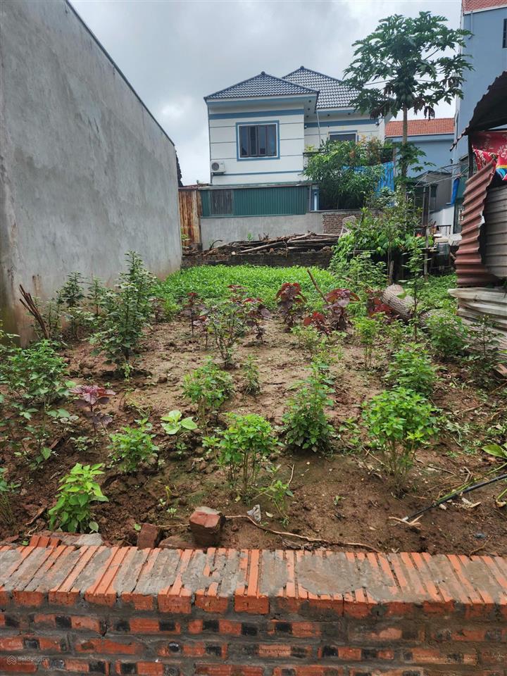 Cc e bán ô đất cực víp tại thọ an, kinh doanh 3 ô tô tránh khu trung tâm, tc 3,8 tỷ, 0982 480 ***