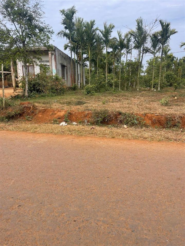 Bán 3 lô đất full thổ cư liền kề tại thị xã buôn hồ, mặt đường nhựa 10m, khu bàn cờ dân đông