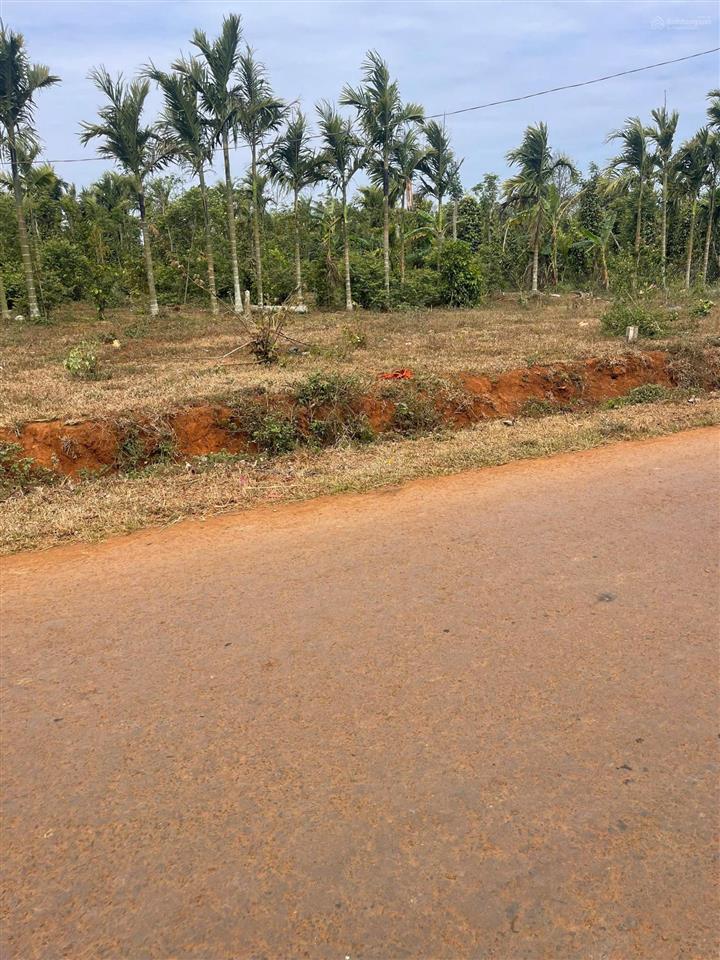 Bán 3 lô đất full thổ cư liền kề tại thị xã buôn hồ, mặt đường nhựa 10m, khu bàn cờ dân đông