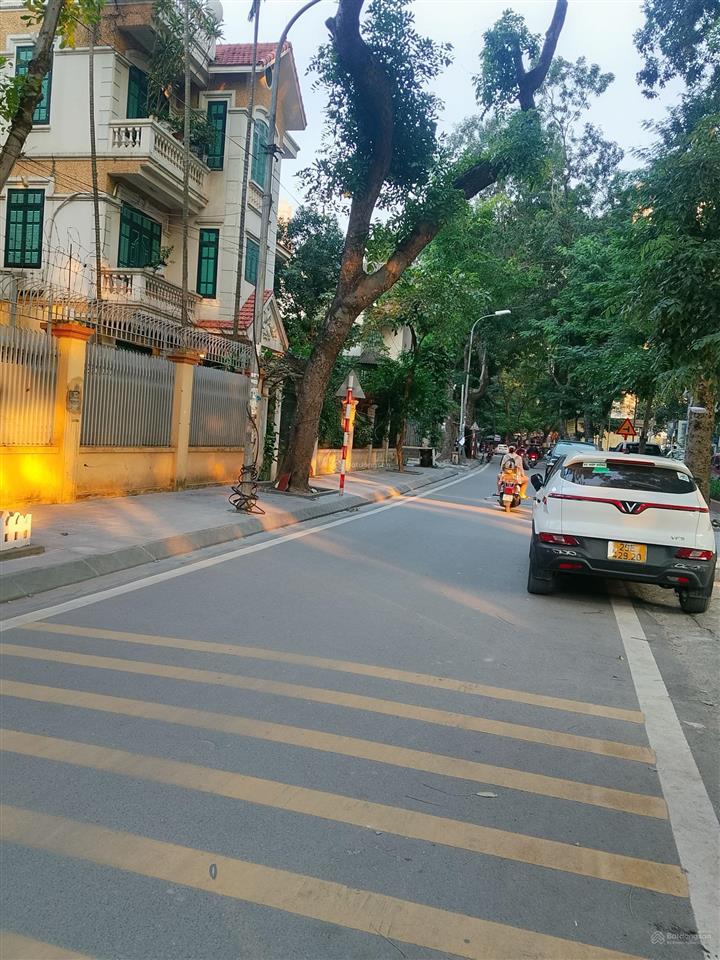 Biệt thự trong kđt định công, dt 155m2, 4 tầng, bao quanh là sân vườn thoáng mát, nội thất cao cấp