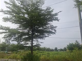 Giá tốt nhất tại kđt sentosa điện bàn đông.tp đà nẳng
diện tích 120m2 .đường 7.5.ngang6m.giá 2.7ty