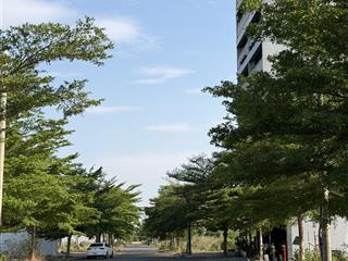 Cắt giảm mạnh! giá sụp hầm chỉ 3tỷ. trục a8 kđt sentosa thông cocobay. đường 7.5m. diện tích 150m2