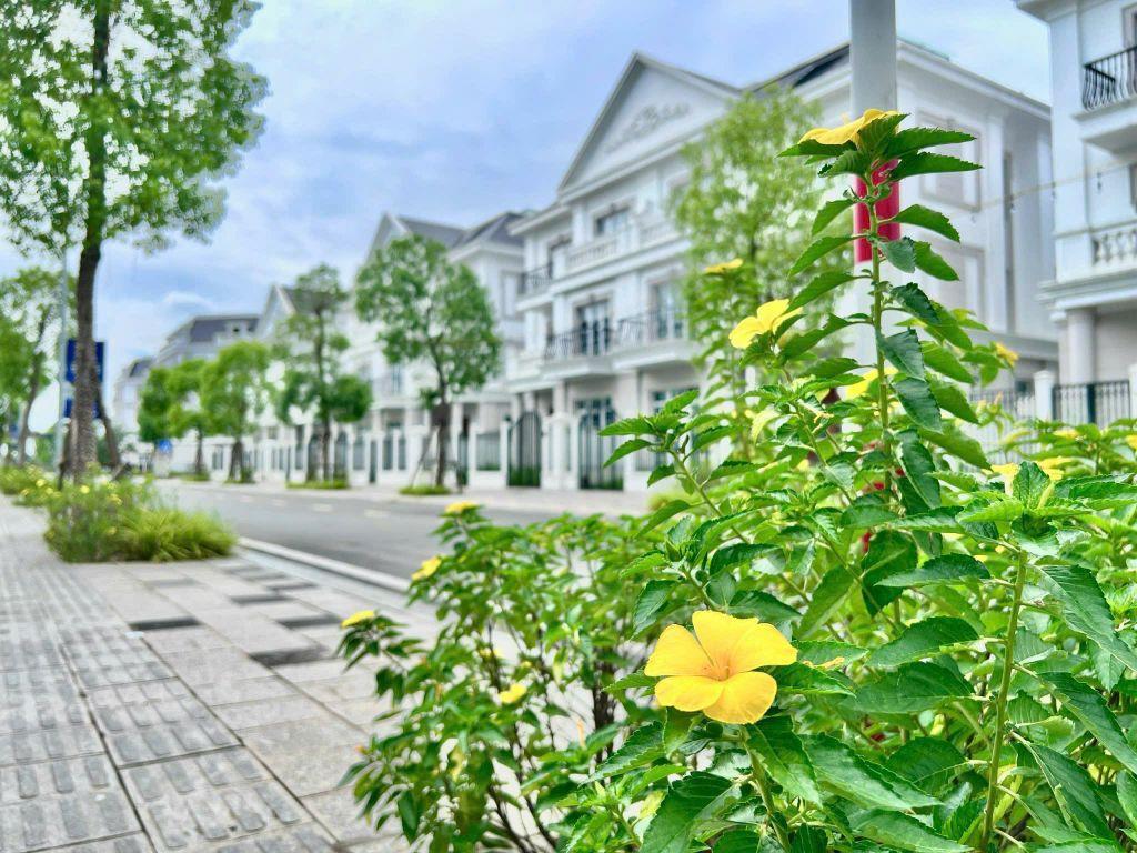 Bán nhanh căn LK Osaka ĐN giá tốt nhất dự án!