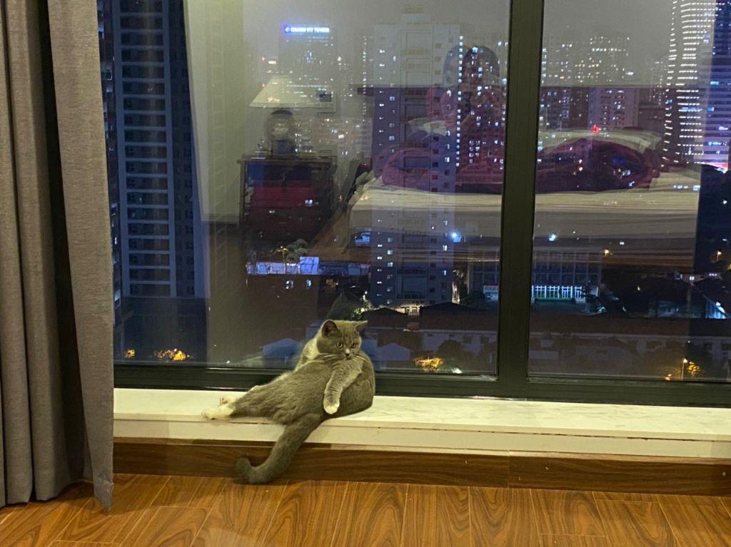 (CHUẨN) BÁN CĂN SKY VILLA PHÚ GIA RESIDENCE 230M2 (3PN2VS) NỘI THẤT ĐẸP. SỔ ĐỎ. 19,5 TỶ (0907 833 787)