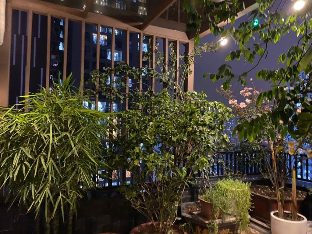 (CHUẨN) BÁN CĂN SKY VILLA PHÚ GIA RESIDENCE 230M2 (3PN2VS) NỘI THẤT ĐẸP. SỔ ĐỎ. 19,5 TỶ (0907 833 787)