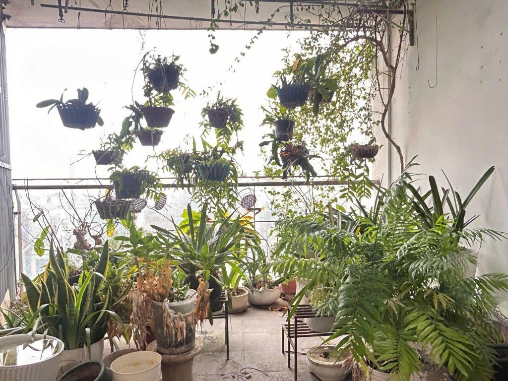 (CHUẨN) BÁN CĂN TSQ MỖ LAO 202M2 (4PN3VS) NỘI THẤT ĐẸP. 55TR/M2. 0907 833 787