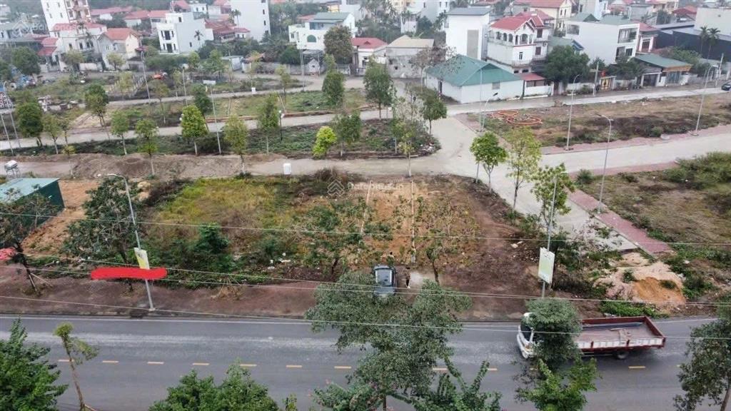 Chinh chủ bán mảnh đất mới trúng đấu giá phiên 24/4/2026 khu dg06 sài sơn, quốc oai cũ 0976 613 ***