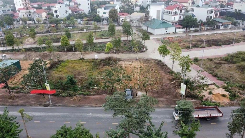 Chinh chủ bán mảnh đất mới trúng đấu giá phiên 24/4/2026 khu dg06 sài sơn, quốc oai cũ 0976 613 ***