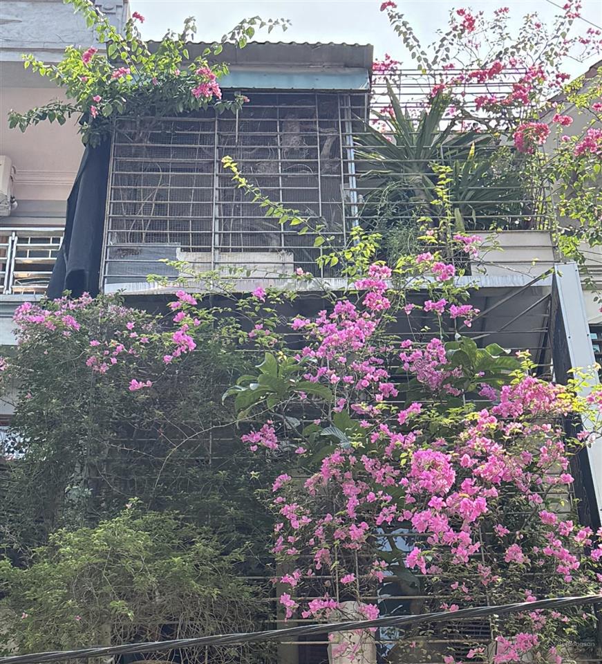 Chính chủ bán nhà phố trần cung  phường nghĩa đô dt 52m² mt 3.23m nở hậu 3.36m  4 tầng  hầm