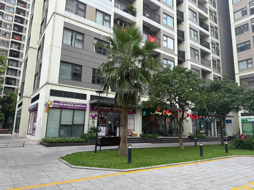 Bán shophouse vinhomes ocean park 1 lô góc trung tâm, đang cho thuê 600tr/năm, giá bán 13,6 tỷ