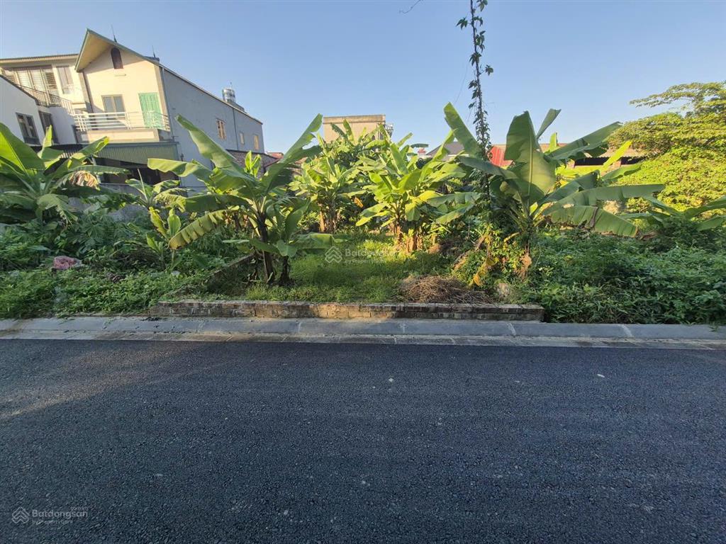 Bán đất xuân nộn đông anh 68m², ngõ ô tô, gần đường lớn giá cắt lỗ cực tốt chỉ 6xtr/m