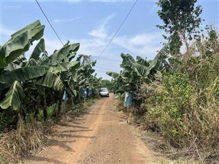 Bán 6145m2 đất trảng bom  giá tốt cơ hội đầu tư