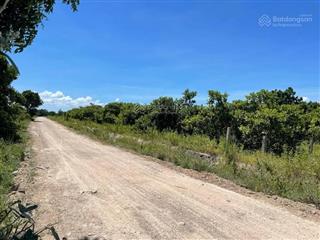 Chỉ với 38 triệu m ngang đất trục quốc lộ 28b