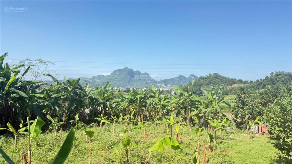 Bán gấp lô đất vị trí đẹp tại cao phong
cách ql6 chỉ 1km giá 1,x tỷ