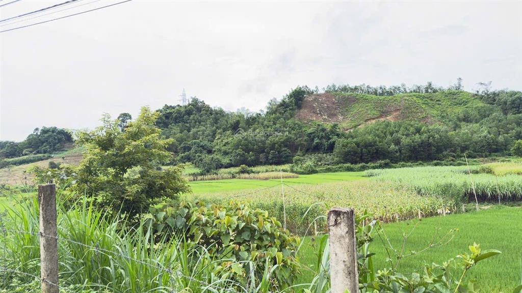 Bán gấp lô đất vị trí đẹp tại cao phong
cách ql6 chỉ 1km giá 1,x tỷ