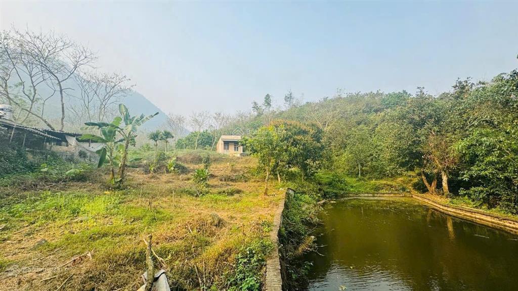 Chuyển nhượng hơn 1,3ha đất thị trấn đà bắc, gần cao tốc hoà bình, mộc châu