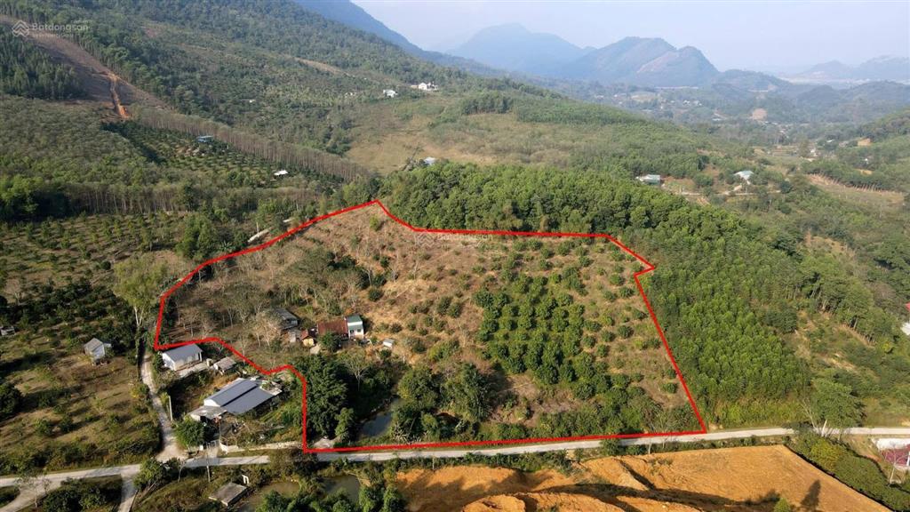 Chuyển nhượng hơn 1,3ha đất thị trấn đà bắc, gần cao tốc hoà bình, mộc châu