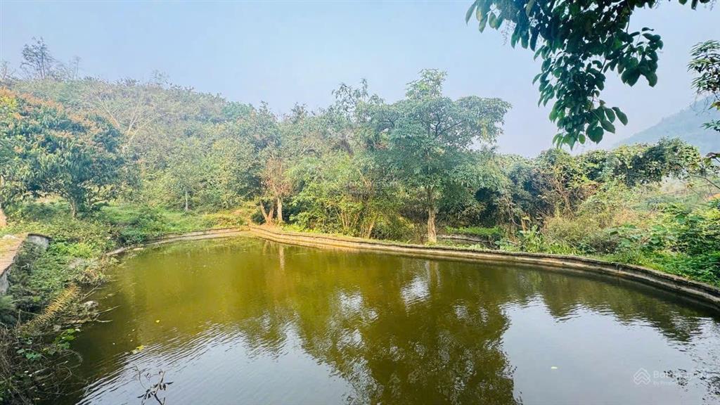Chuyển nhượng hơn 1,3ha đất thị trấn đà bắc, gần cao tốc hoà bình, mộc châu