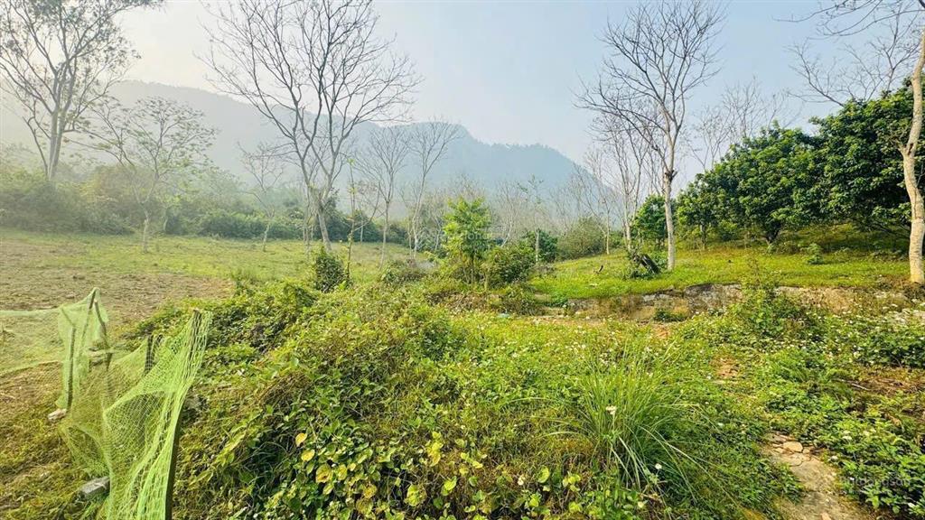 Chuyển nhượng hơn 1,3ha đất thị trấn đà bắc, gần cao tốc hoà bình, mộc châu