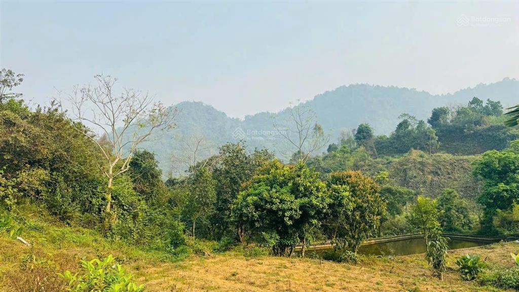 Chuyển nhượng hơn 1,3ha đất thị trấn đà bắc, gần cao tốc hoà bình, mộc châu