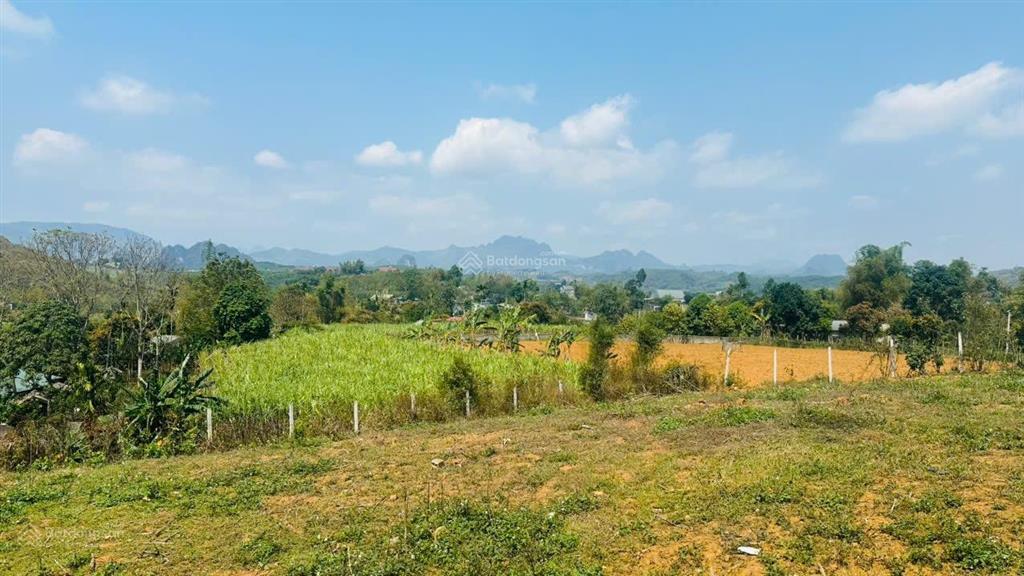 Chủ cần tiền bán nhanh lô đất 3400m có 1900m ont mt hơn 80m tại xã cao phong, phú thọ giá rẻ