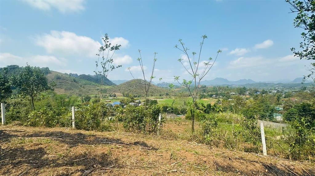 Chủ cần tiền bán nhanh lô đất 3400m có 1900m ont mt hơn 80m tại xã cao phong, phú thọ giá rẻ