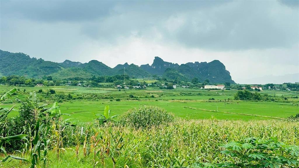 Chính chủ gửi bán lô đất view đẹp tại cao phonghoà bình (nay là phú thọ)