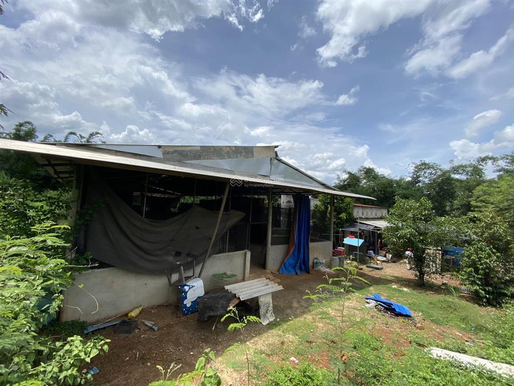 Đất sào thổ cư, full hồng, mặt tiền dài vườn trái cây ở tín nghĩa, xuân thiện ( phường bình lộc)