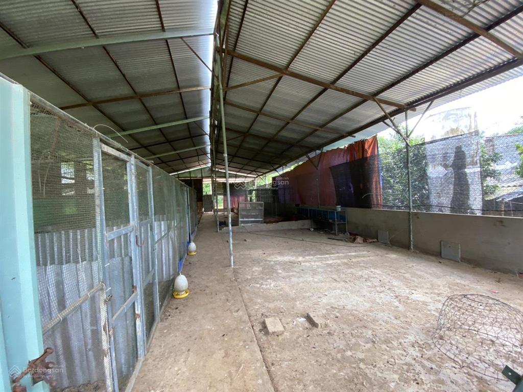 Đất sào thổ cư, full hồng, mặt tiền dài vườn trái cây ở tín nghĩa, xuân thiện ( phường bình lộc)