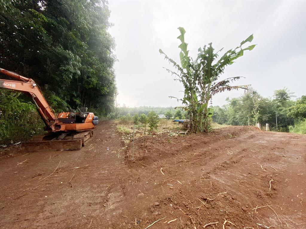 Đất sào thổ cư, full hồng, mặt tiền dài vườn trái cây ở tín nghĩa, xuân thiện ( phường bình lộc)