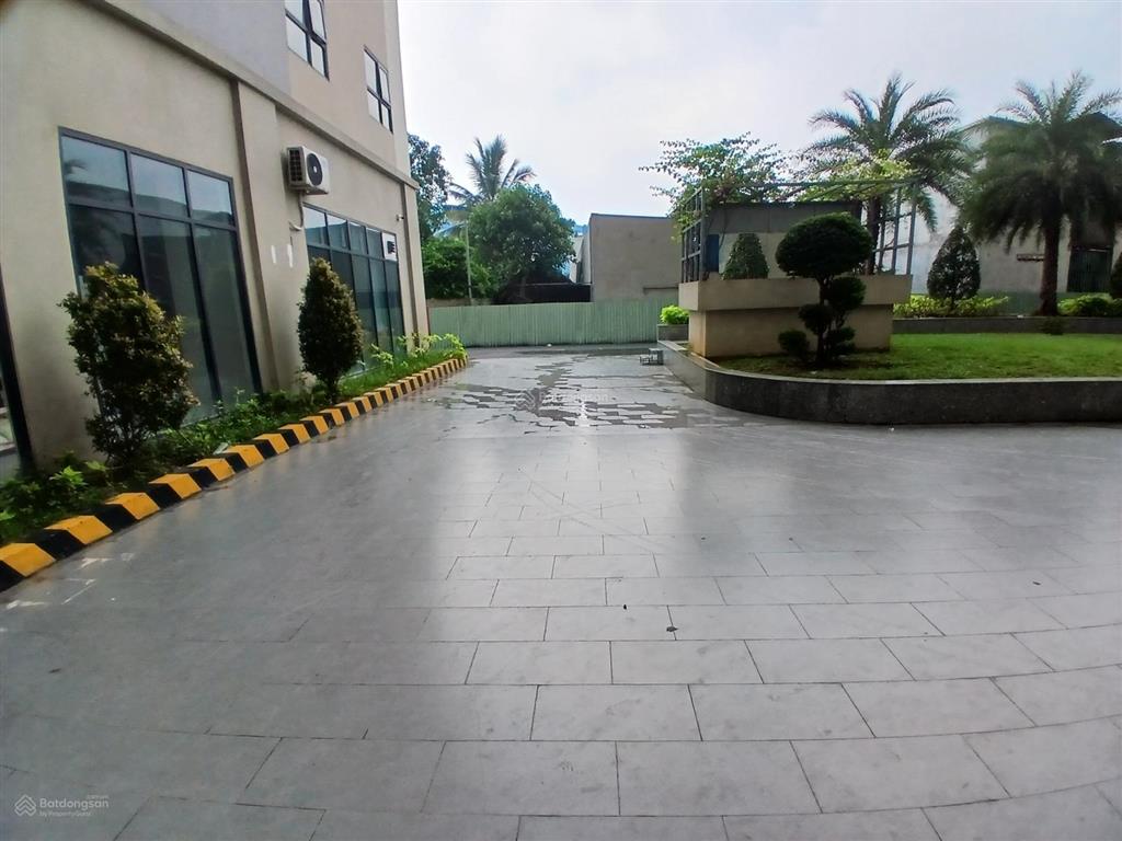 Cho thuê cc tecco felice tower, 6,5 triệu, 52 m2, siêu hot