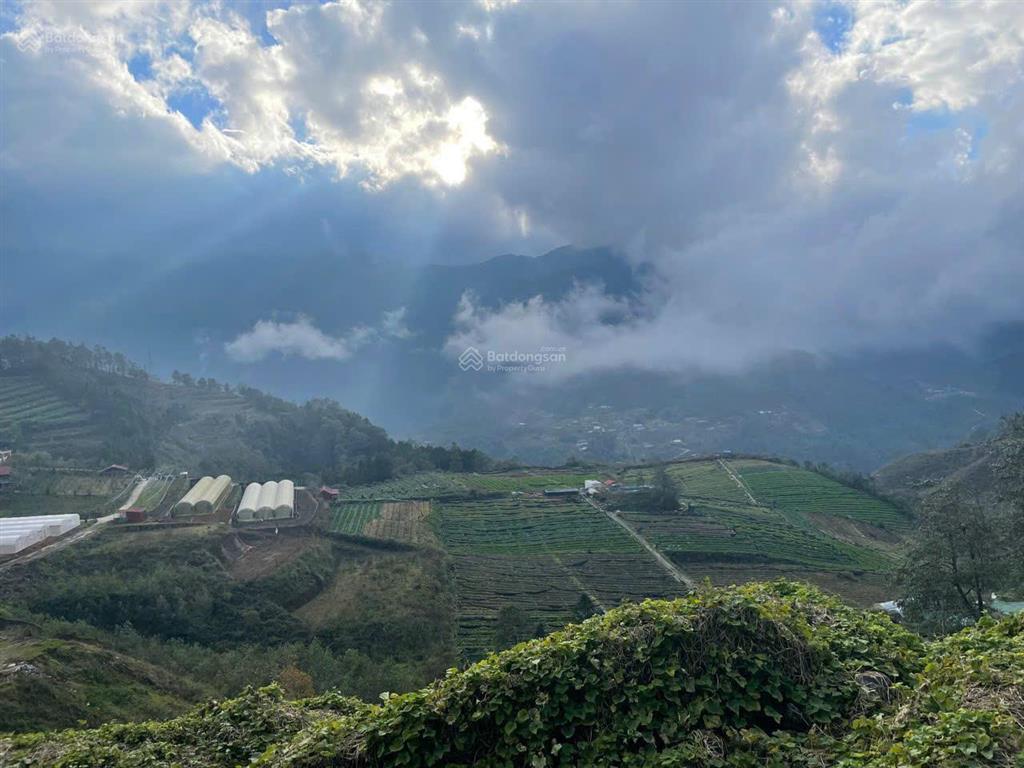 Chính chủ bán 2ha đất mặt ql4d sa pa  view fansipan, gần hầm ô quy hồ, giá tốt đầu tư