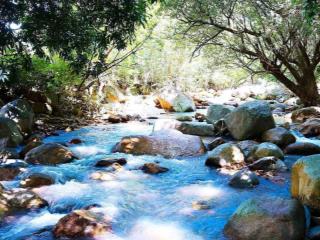 Chính chủ bán đất vịnh vĩnh hy  ninh thuận, view suối lồ ô