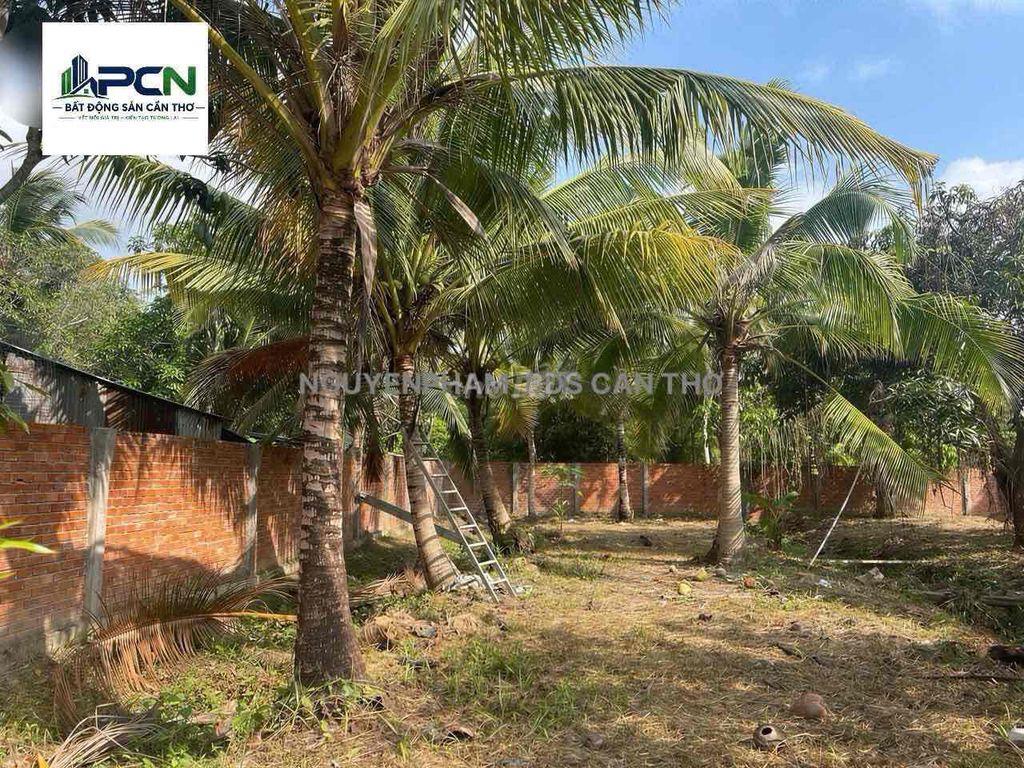 BÁN 1500M² MT LỘ VÒNG CUNG – AN BÌNH, CẦN THƠ – VIEW SÔNG CÁI RĂNG