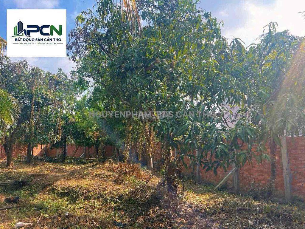 BÁN 1500M² MT LỘ VÒNG CUNG – AN BÌNH, CẦN THƠ – VIEW SÔNG CÁI RĂNG