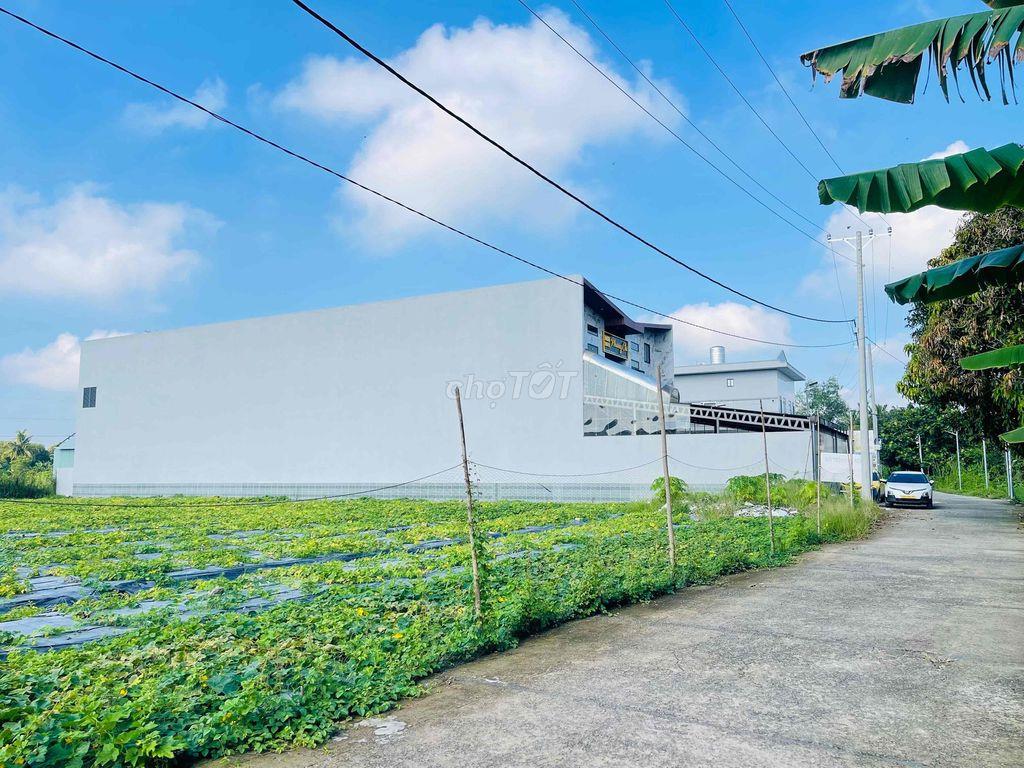 BÁN CẶP NỀN 300m2 THỔ CƯ - XÂY DỰNG TRỌ (ĐỐI DIỆN ĐH NAM CẦN THƠ).