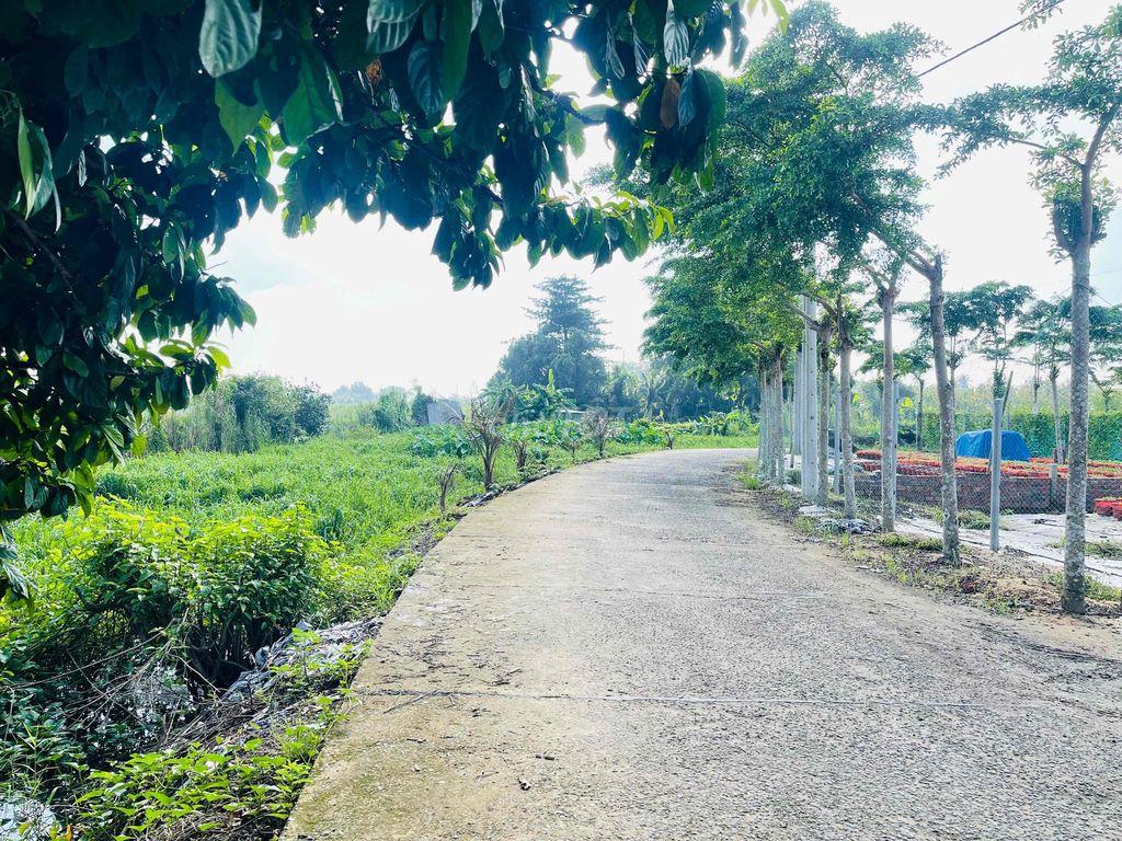 BÁN CẶP NỀN 300m2 THỔ CƯ - XÂY DỰNG TRỌ (ĐỐI DIỆN ĐH NAM CẦN THƠ).