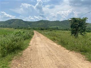 Bán đất tại thị trấn lương sơn, 250 triệu, 1560 m2, giá cực chất