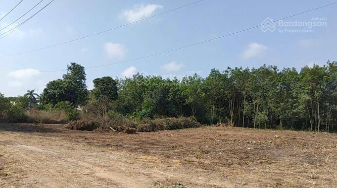 Bán đất tại xã phước hòa, 50000m2, ngõ vào rộng 24m, pháp lý đầy đủ