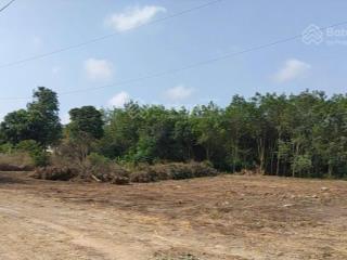 Bán đất tại xã phước hòa, 50000m2, ngõ vào rộng 24m, pháp lý đầy đủ
