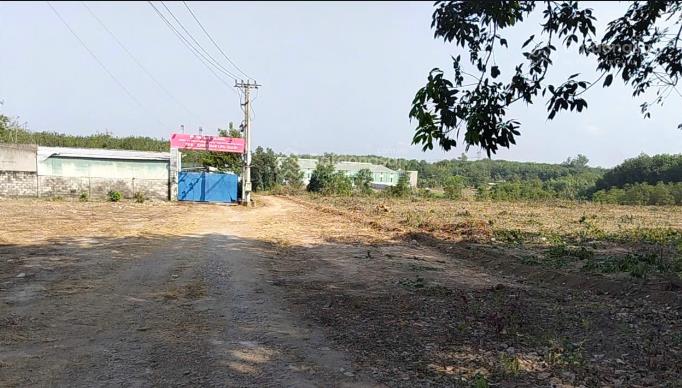 Bán đất tại xã phước hòa, 50000m2, ngõ vào rộng 24m, pháp lý đầy đủ