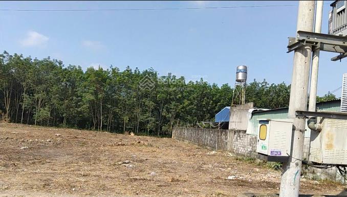 Bán đất tại xã phước hòa, 50000m2, ngõ vào rộng 24m, pháp lý đầy đủ