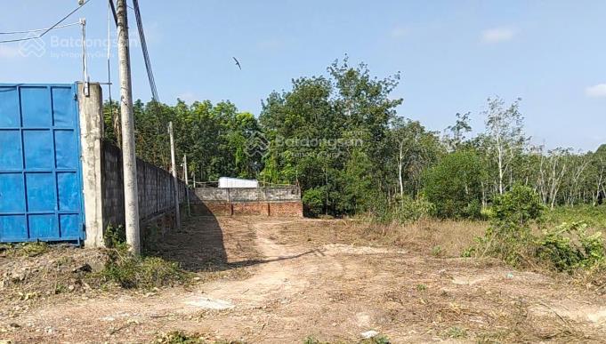 Bán đất tại xã phước hòa, 50000m2, ngõ vào rộng 24m, pháp lý đầy đủ
