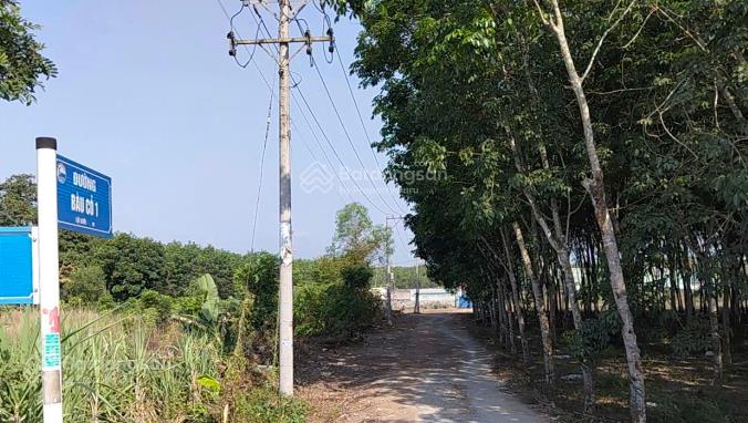 Bán đất tại xã phước hòa, 50000m2, ngõ vào rộng 24m, pháp lý đầy đủ